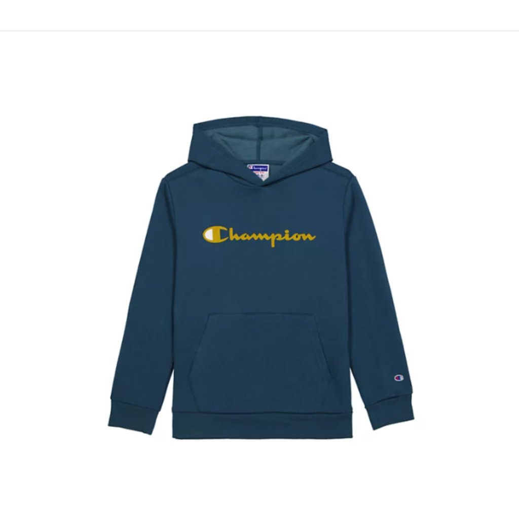 Champion Men's Teal Hoodie With Gold Logo